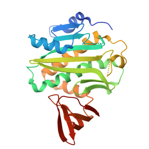 RCSB PDB 2CGH Crystal Structure Of Biotin Ligase From Mycobacterium