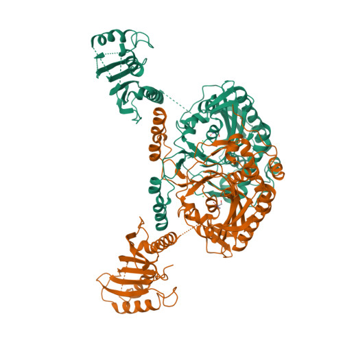 Rcsb Pdb Cjb Crystal Structure Of Methanosarcina Barkeri Seryl Trna