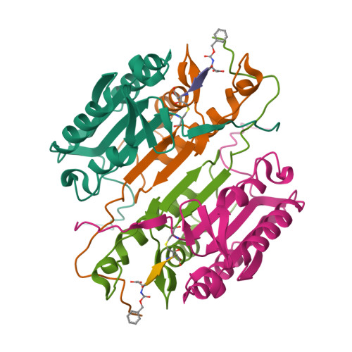 RCSB PDB 2CJY Extended Substrate Recognition In Caspase 3 Revealed