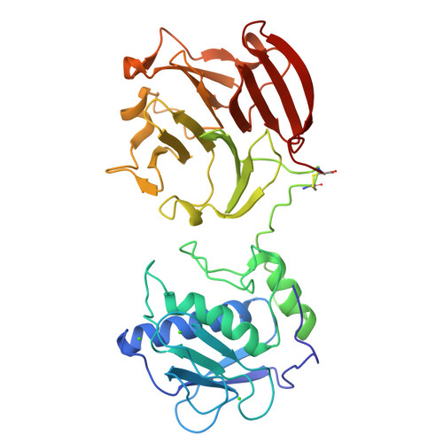 Rcsb Pdb Clt Crystal Structure Of The Active Form Full Length Of