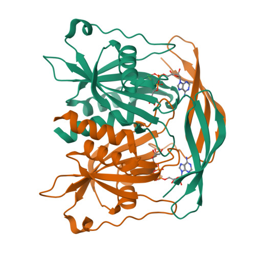 Rcsb Pdb Dsc Crystal Structure Of Human Adp Ribose Pyrophosphatase