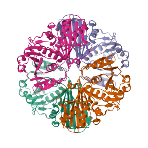 Rcsb Pdb Duu Crystal Structure Of Apo Form Of Nadp Dependent