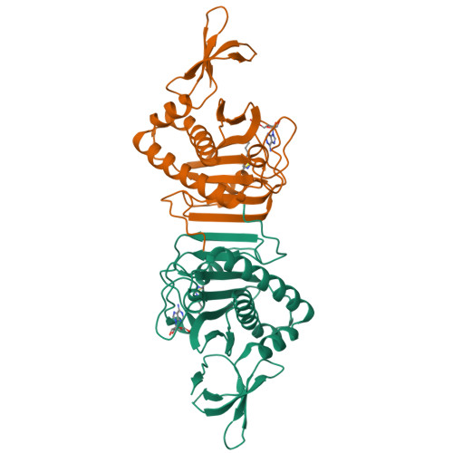 Rcsb Pdb Dxu Crystal Structure Of Biotin Protein Ligase From