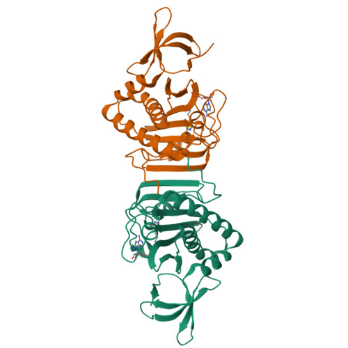 RCSB PDB 2DZ9 Crystal Structure Of Biotin Protein Ligase From