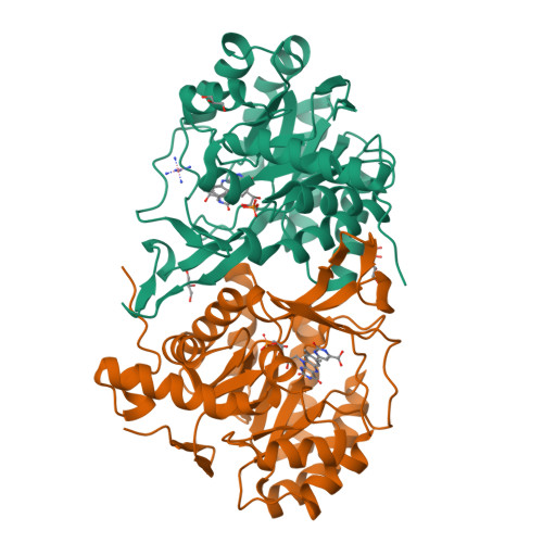 Rcsb Pdb E A Crystal Structure Of Trypanosoma Cruzi Dihydroorotate