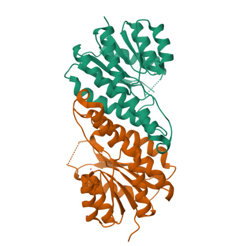 RCSB PDB 2EHD Crystal Structure Analysis Of Oxidoreductase