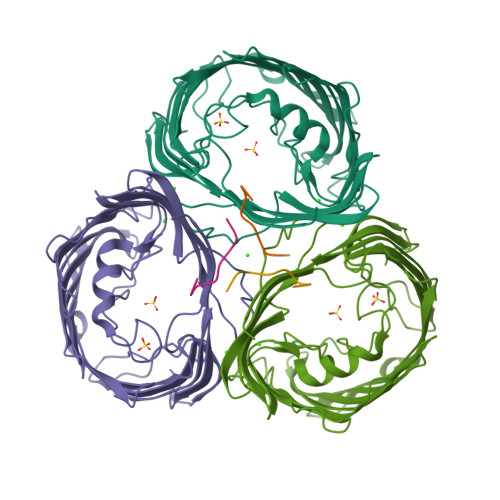 RCSB PDB 2FGR High Resolution Xray Structure Of Omp32