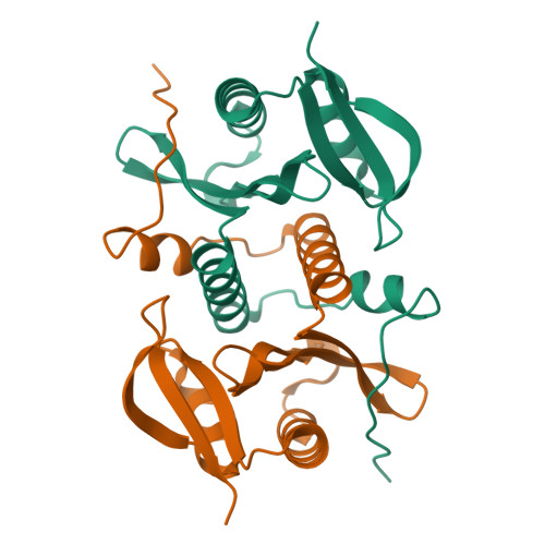 RCSB PDB 2FL4 The Crystal Structure Of The Spermine Spermidine