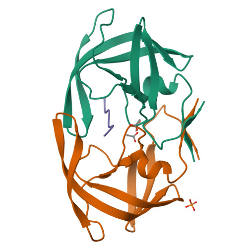 Rcsb Pdb Fns Crystal Structure Of Wild Type Inactive D N Hiv