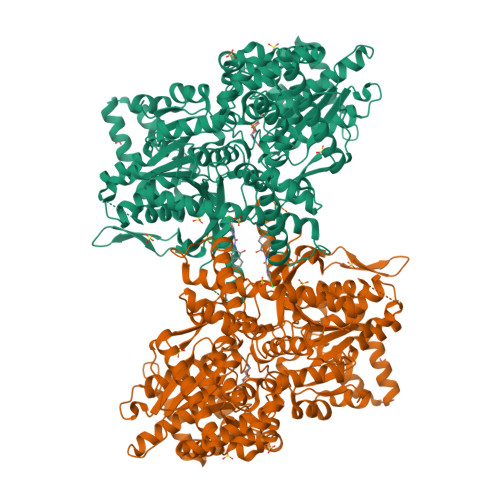 Rcsb Pdb Gj Structure Of Rabbit Muscle Glycogen Phosphorylase In