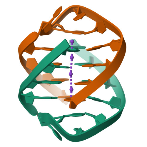 Rcsb Pdb Gwq Crystal Structure Of D G T G With Four Quadruplexes