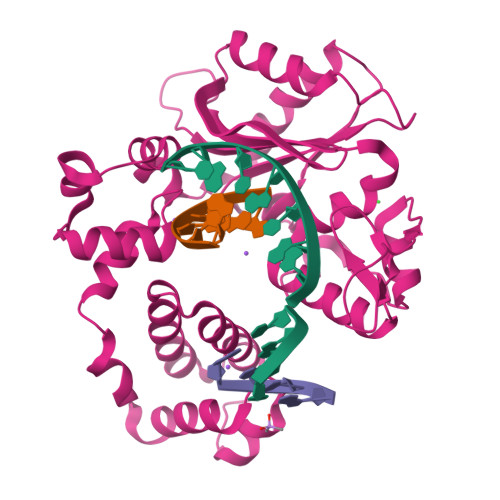 RCSB PDB 2GWS Crystal Structure Of Human DNA Polymerase Lambda With