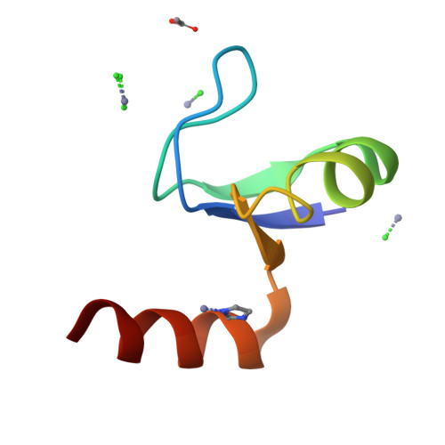 Rcsb Pdb Hvf Crystal Structure Of N Terminal Domain Of Ribosomal