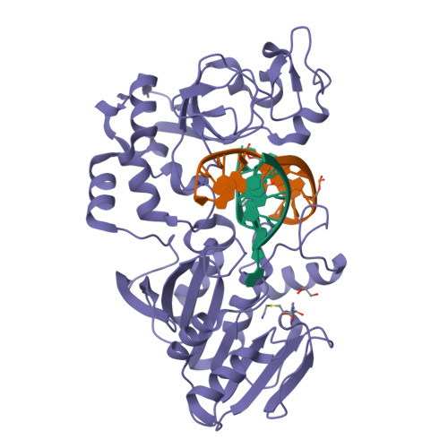 RCSB PDB 2IH4 Crystal Structure Of The Adenine Specific DNA