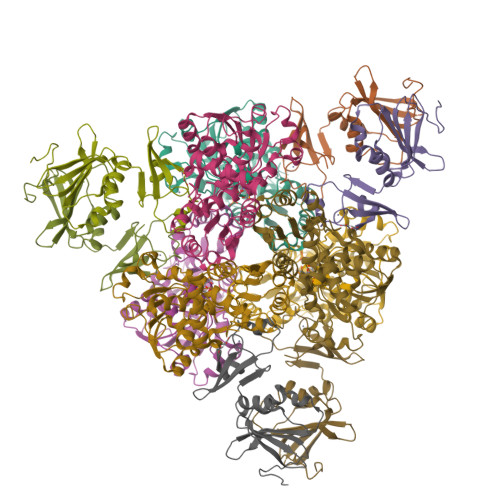 Rcsb Pdb Ipo E Coli Aspartate Transcarbamoylase Complexed With N