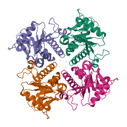 Rcsb Pdb Irp Crystal Structure Of The L Fuculose Phosphate