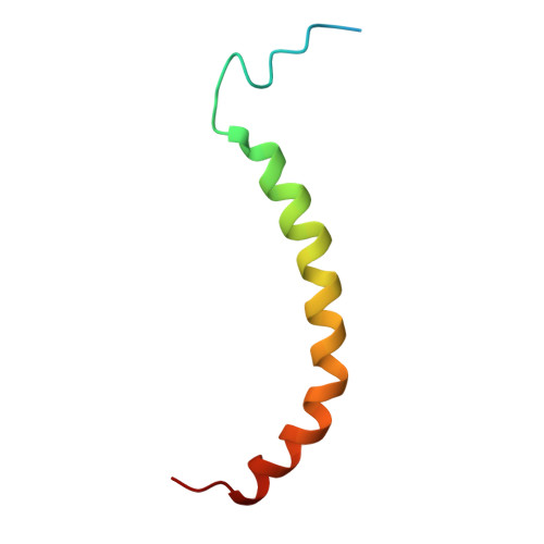 Rcsb Pdb K I The Domain Features Of The Peripheral Stalk Subunit H