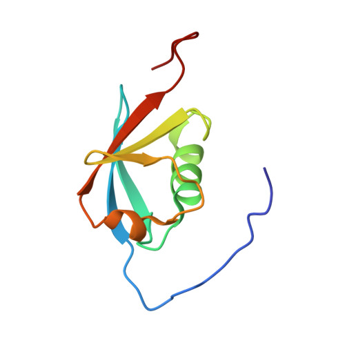 RCSB PDB 2KAN Solution NMR Structure Of Ubiquitin Like Domain Of