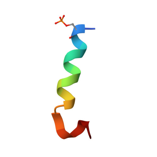 RCSB PDB 2MZ2 Phosphorylation Of CB1Cannabinoid Receptor Fourth