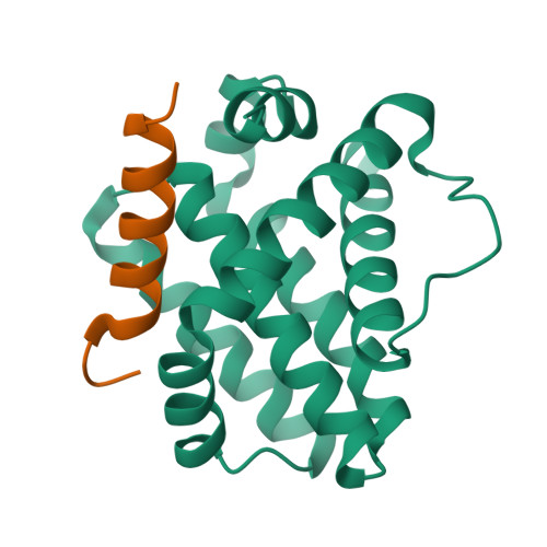 RCSB PDB 2NLA Crystal Structure Of The Mcl 1 MNoxaB BH3 Complex