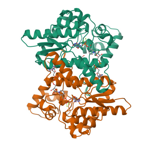 RCSB PDB 2NSY CRYSTAL STRUCTURE OF NH3 DEPENDENT NAD SYNTHETASE