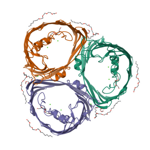 Rcsb Pdb Por Structure Of Porin Refined At Angstroms Resolution