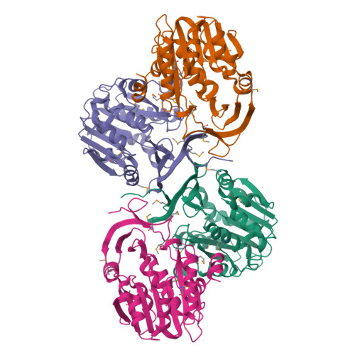 RCSB PDB 2Q41 Ensemble Refinement Of The Protein Crystal Structure