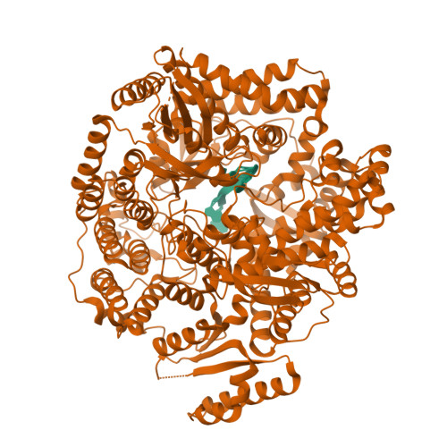 Rcsb Pdb R U Crystal Structure Of Rotavirus Sa Vp Rna Aaaagcc