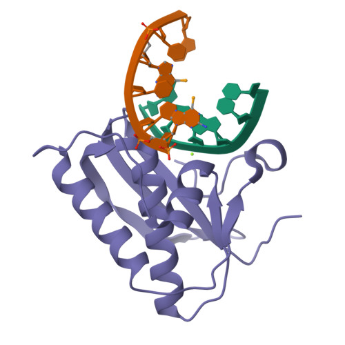 Rcsb Pdb R Y Selenium Derivatized Rna Dna Hybrid In Complex With