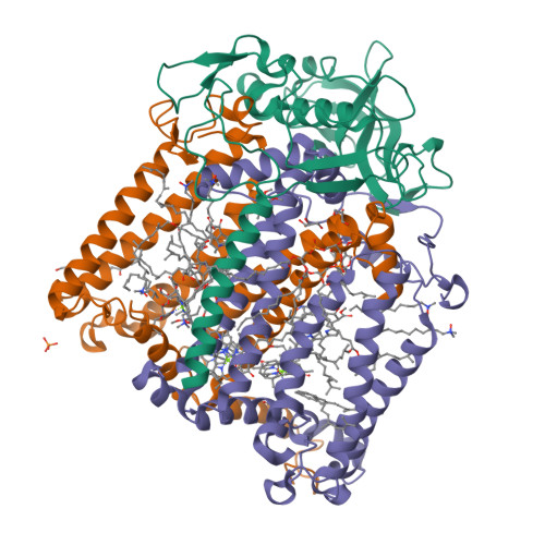 Rcsb Pdb Uxk X Ray High Resolution Structure Of The Photosynthetic