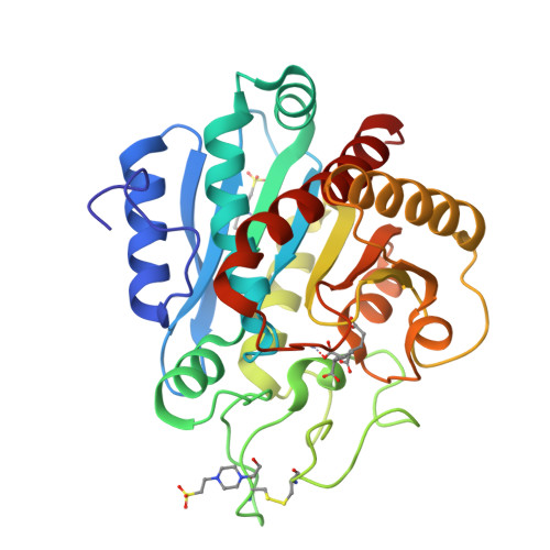 RCSB PDB 2V77 Crystal Structure Of Human Carboxypeptidase A1