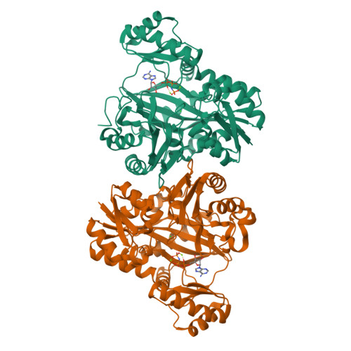 Rcsb Pdb Vpq Crystal Structure Of Biotin Carboxylase From S Aureus