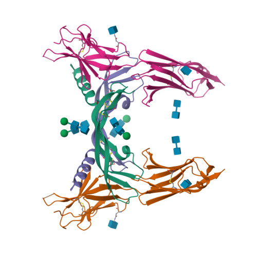 Rcsb Pdb X X Crystal Structure Of Vegf C In Complex With Domains