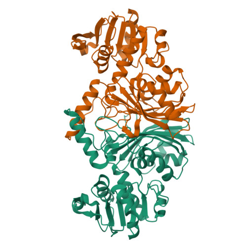 RCSB PDB 2YV3 Crystal Structure Of Aspartate Semialdehyde