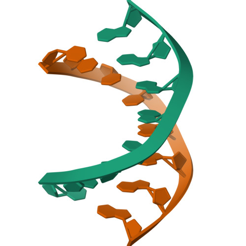 RCSB PDB 317D STRUCTURE OF D CCTAGGG COMPARISON WITH NINE