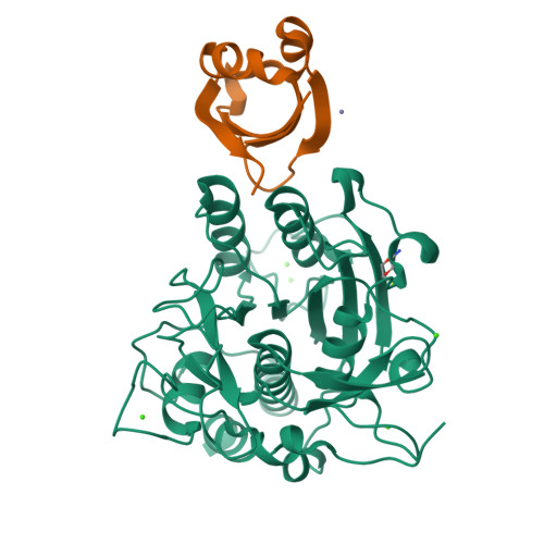 Rcsb Pdb A O Crystal Structure Of Complex Between Sa Subtilisin And