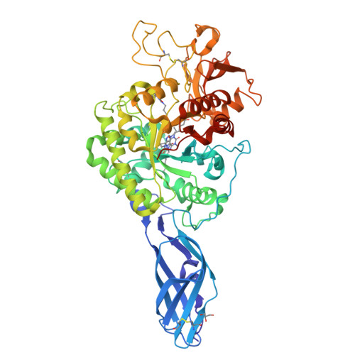 RCSB PDB 3ARX Crystal Structure Analysis Of Chitinase A From Vibrio