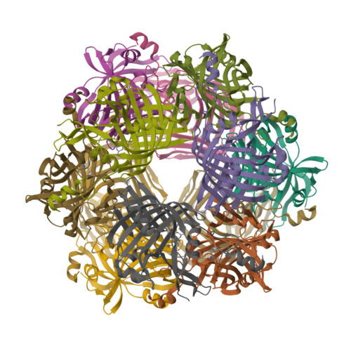 RCSB PDB 3BH3 Crystal Structure Of Acetoacetate Decarboxylase From