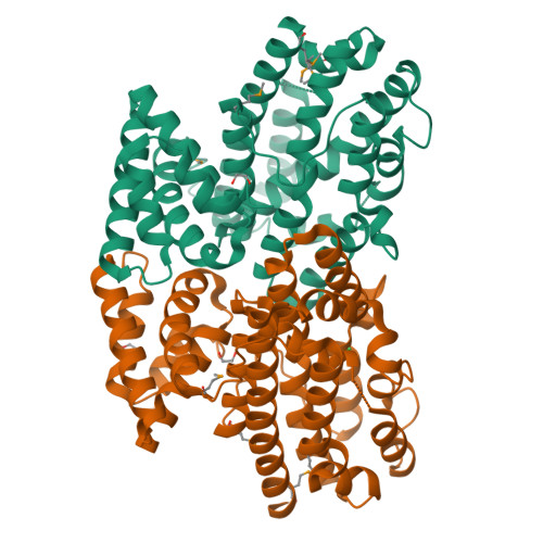 RCSB PDB 3BJD Crystal Structure Of Putative 3 Oxoacyl Acyl Carrier