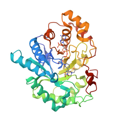 RCSB PDB 3BUV Crystal Structure Of Human Delta 4 3 Ketosteroid 5