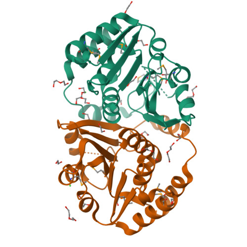 RCSB PDB 3C3P Crystal Structure Of A Methyltransferase NP 951602 1