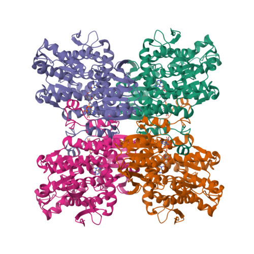 Rcsb Pdb Ce Crystal Structure Of Mycobacterium Tuberculosis S