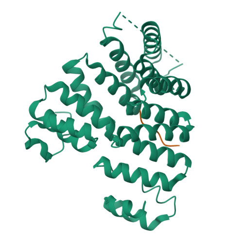 RCSB PDB 3CVP Structure Of Peroxisomal Targeting Signal 1 PTS1