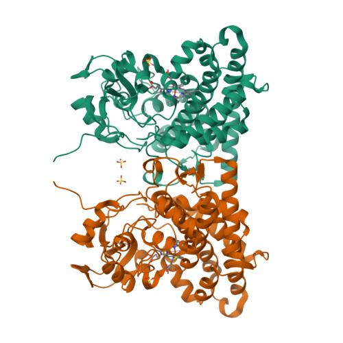 Rcsb Pdb Cxz Crystal Structure Of Cytochrome P Cyp R L