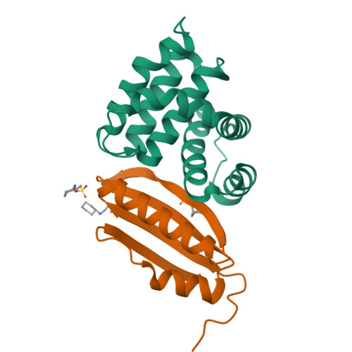 RCSB PDB 3D3B Structural And Functional Analysis Of The E Coli NusB