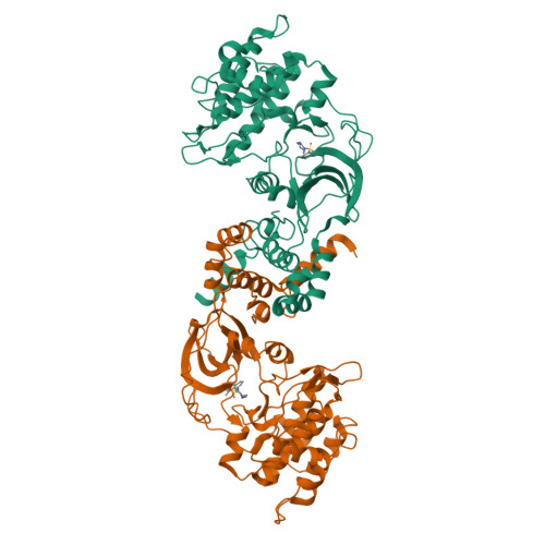 RCSB PDB 3D9V CRYSTAL STRUCTURE OF ROCK I BOUND TO H 1152P A DI