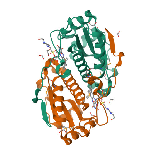 RCSB PDB 3E10 Crystal Structure Of Putative NADH Oxidase NP 348178