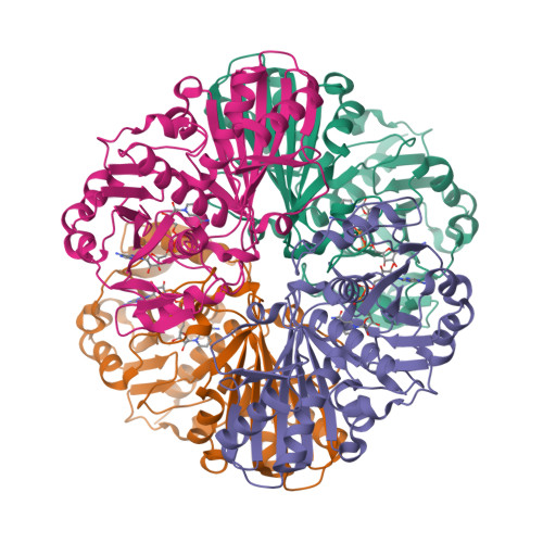 RCSB PDB 3E5R Crystal Structure And Functional Analysis Of