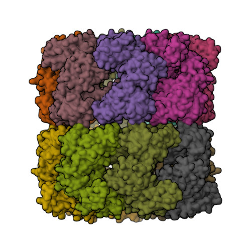 Rcsb Pdb E Crystal Structure Of Wild Type Groel With Bound