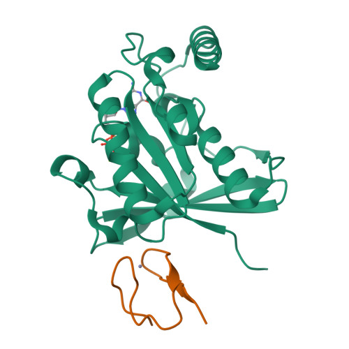 Rcsb Pdb Gj Crystal Structure Of Human Rangdp Nup Znf Complex